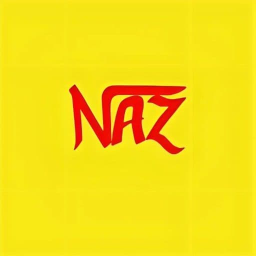 Naz Shoes